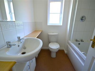 Picture 11